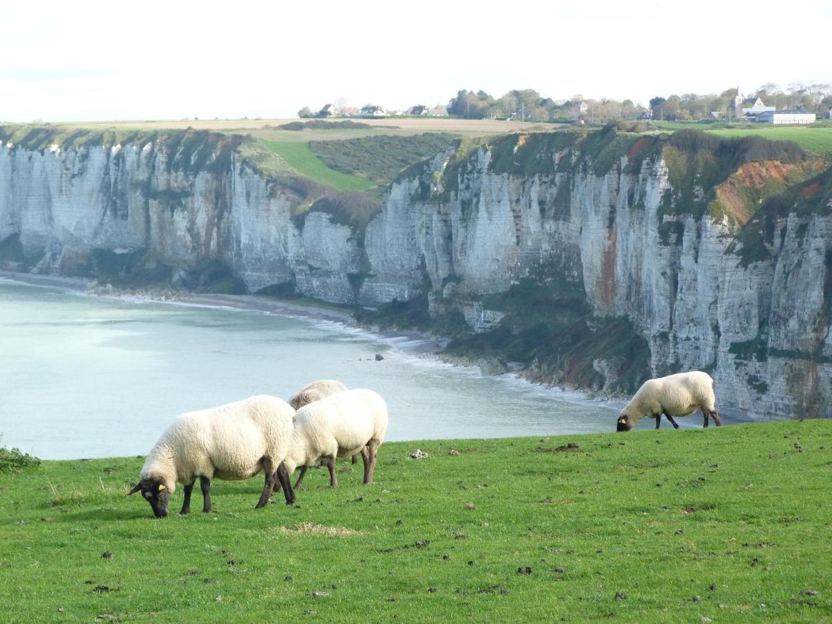 La Cour Martin A 7 Km D'Etretat-Gite Classe 3 Etoiles Cuverville  Exterior foto